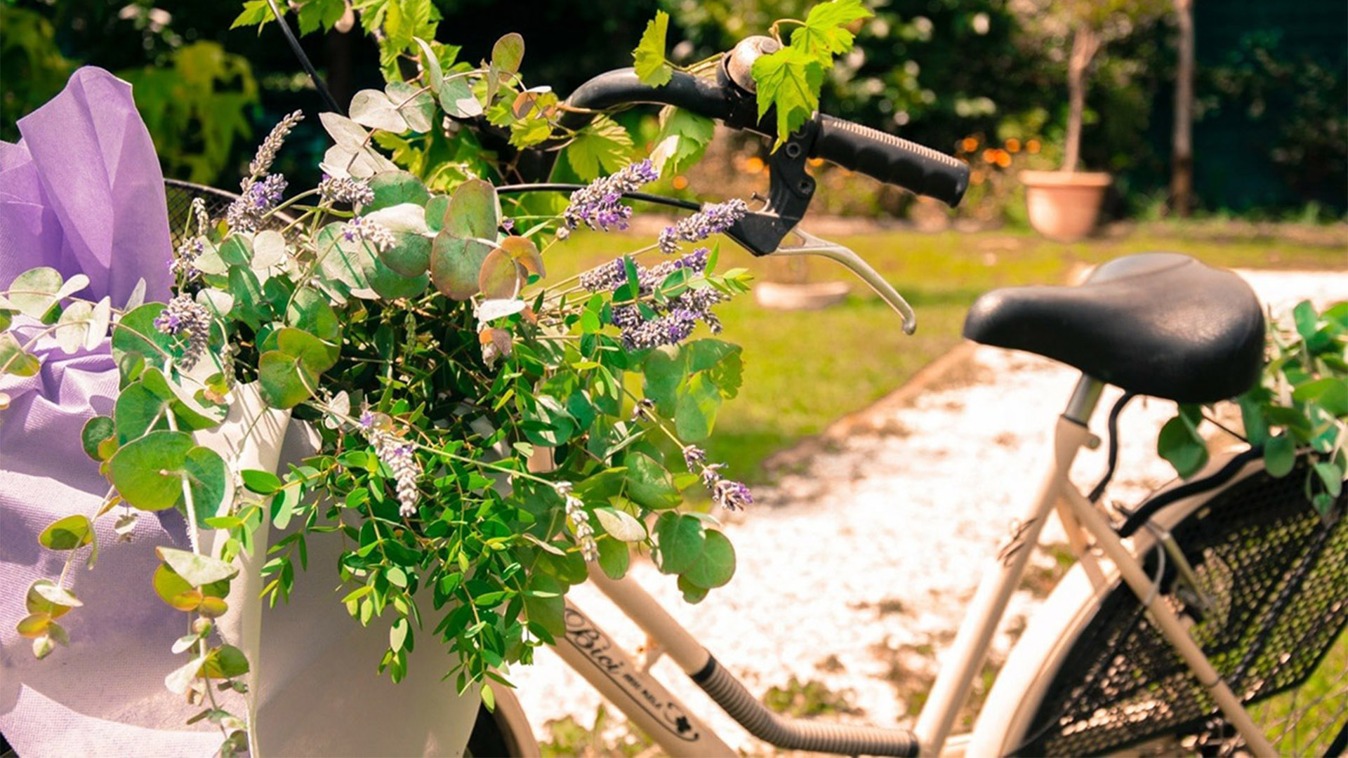 la via delle erbe e dei fiori, percorso turistico